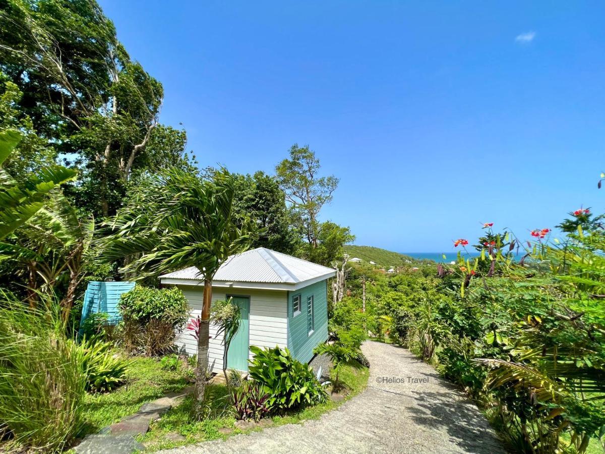 Le Surf Lodge, Chambre Avec Vue Mer Dans Un Ecrin De Verdure Deshaies Eksteriør billede