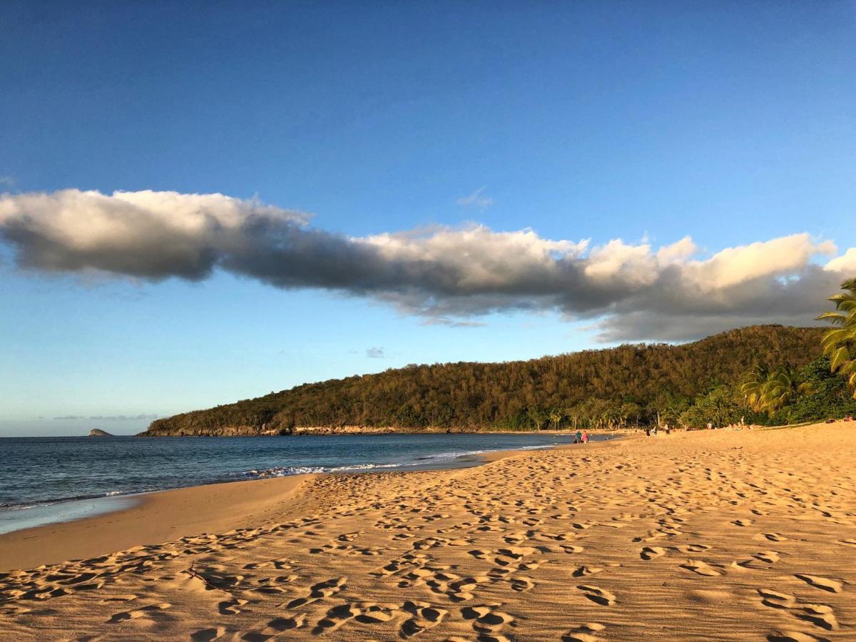 Le Surf Lodge, Chambre Avec Vue Mer Dans Un Ecrin De Verdure Deshaies Eksteriør billede
